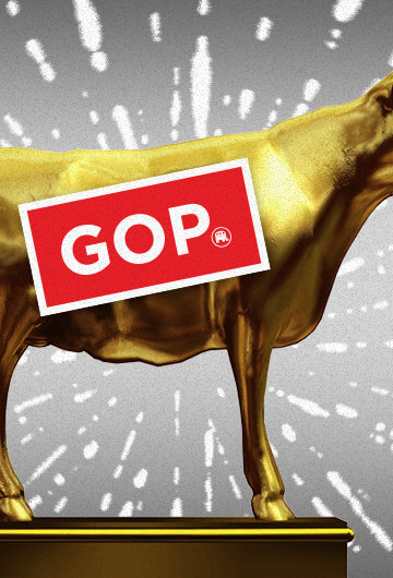golden calf with GOP sticker